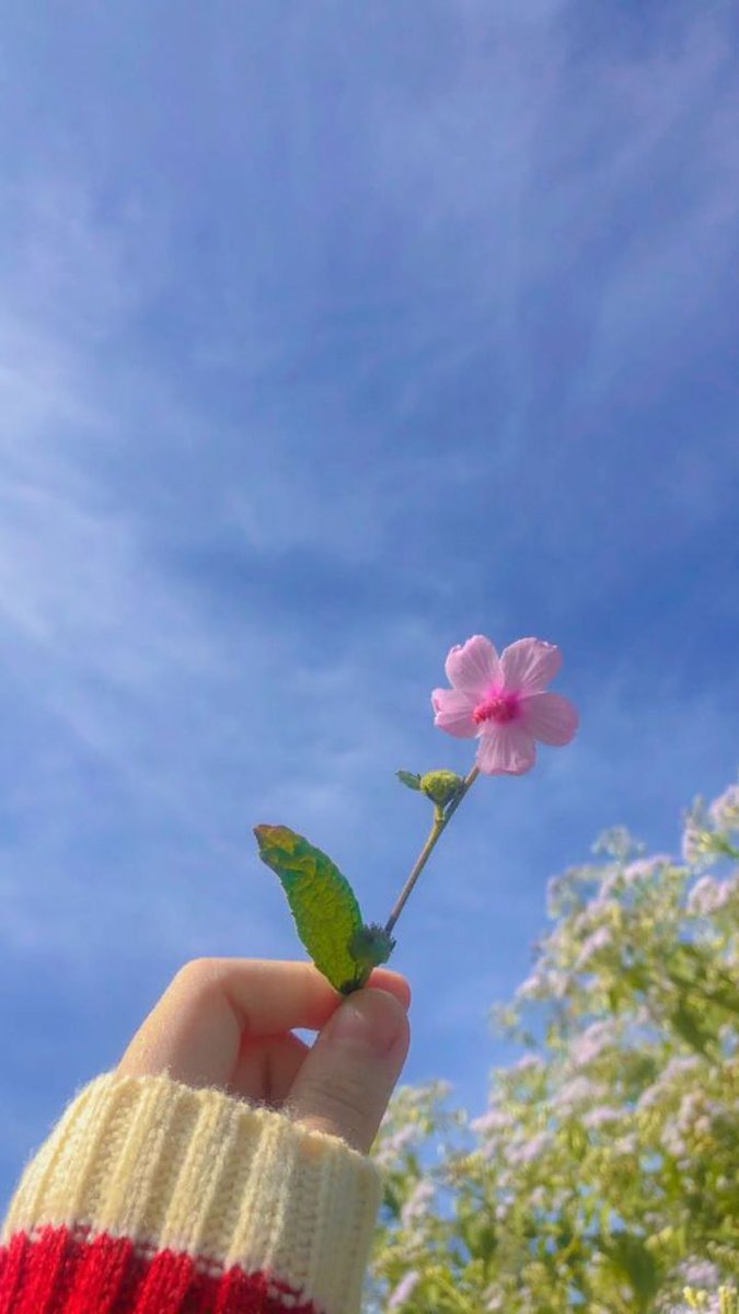 Tahniyatmehdi14's tweet photo. 📎Capturing Easthetic Views 📸☄️
#naturelovers #photooftheday #RandomPhotos #Easthetic https://t.co/ojNQRWIz6M
