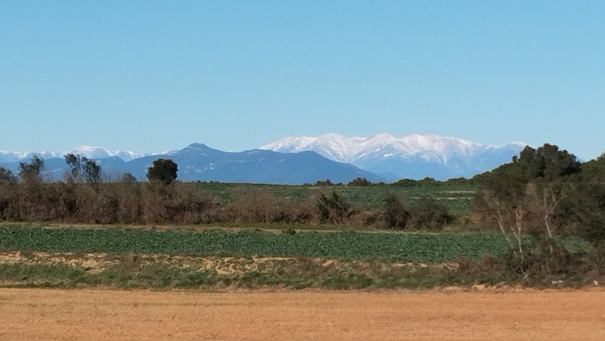 Això és veu des del Big Bench de Sant Jordi Desvalls
Bon dia 🥰 ll*ll