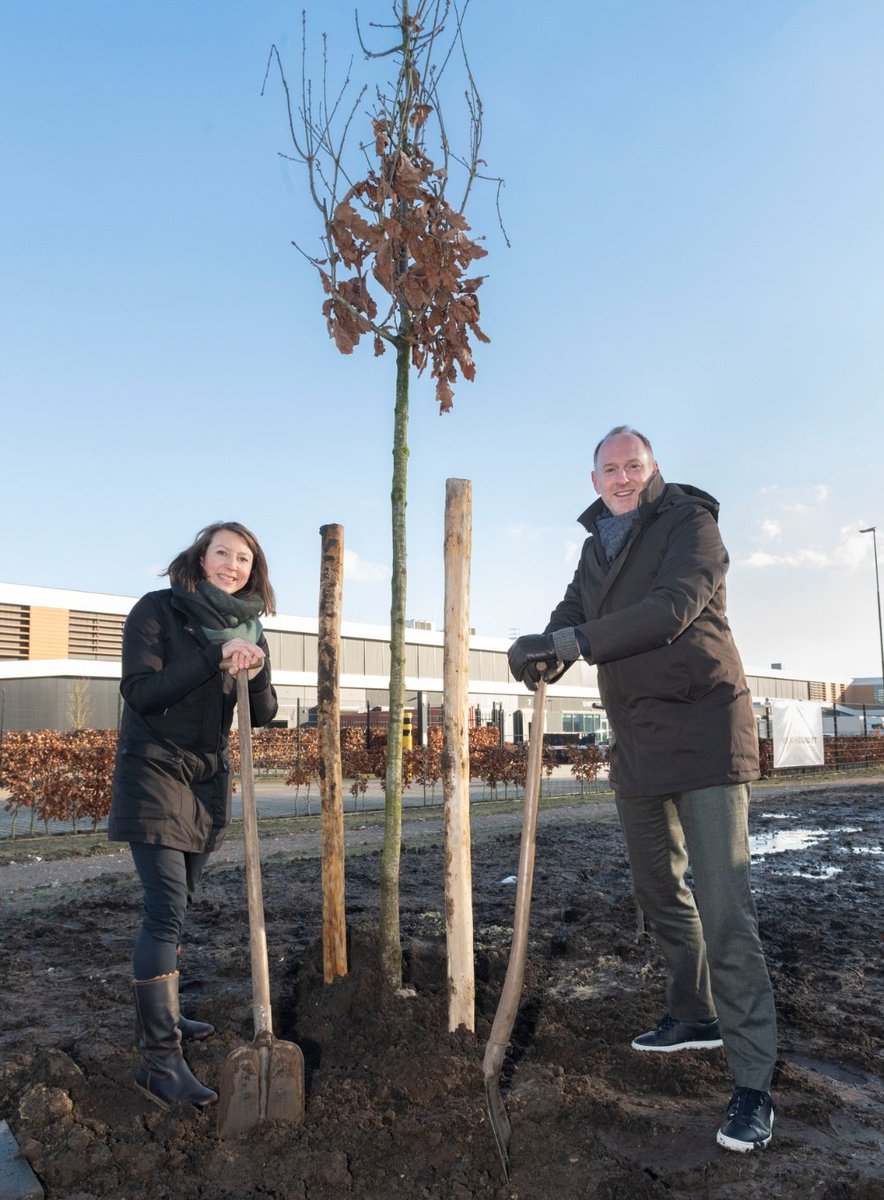 Bas van der Pol tweet media