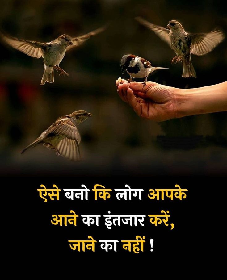 mpanktiya's tweet photo. ऐसे बनो कि लोग आपके आने का इंतजार करें, जाने का नहीं ! https://t.co/rW9Arm2Dz9