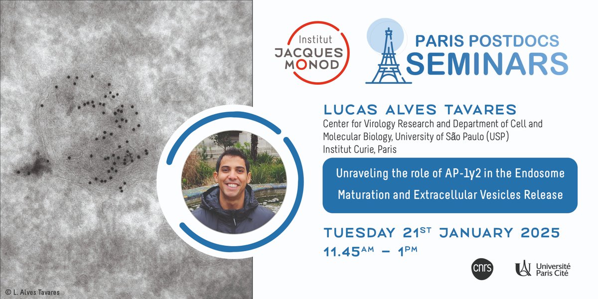 Institut Jacques Monod (@ijmonod) on Twitter photo 📢 Paris Postdoc Seminar
📅 January 21st
📍Institut Jacques Monod
Tomorrow, Lucas Alves Tavares, will give the <a href="/ParisPostdocs/">Paris Postdocs Seminars</a> Seminar "Unverealing the role of AP-1γ2 in the Endosome Maturation and Extracellular Vesicles Release"
➡️buff.ly/4gyRN0Y 📢 Paris Postdoc Seminar
📅 January 21st
📍Institut Jacques Monod
Tomorrow, Lucas Alves Tavares, will give the <a href="/ParisPostdocs/">Paris Postdocs Seminars</a> Seminar "Unverealing the role of AP-1γ2 in the Endosome Maturation and Extracellular Vesicles Release"
➡️buff.ly/4gyRN0Y