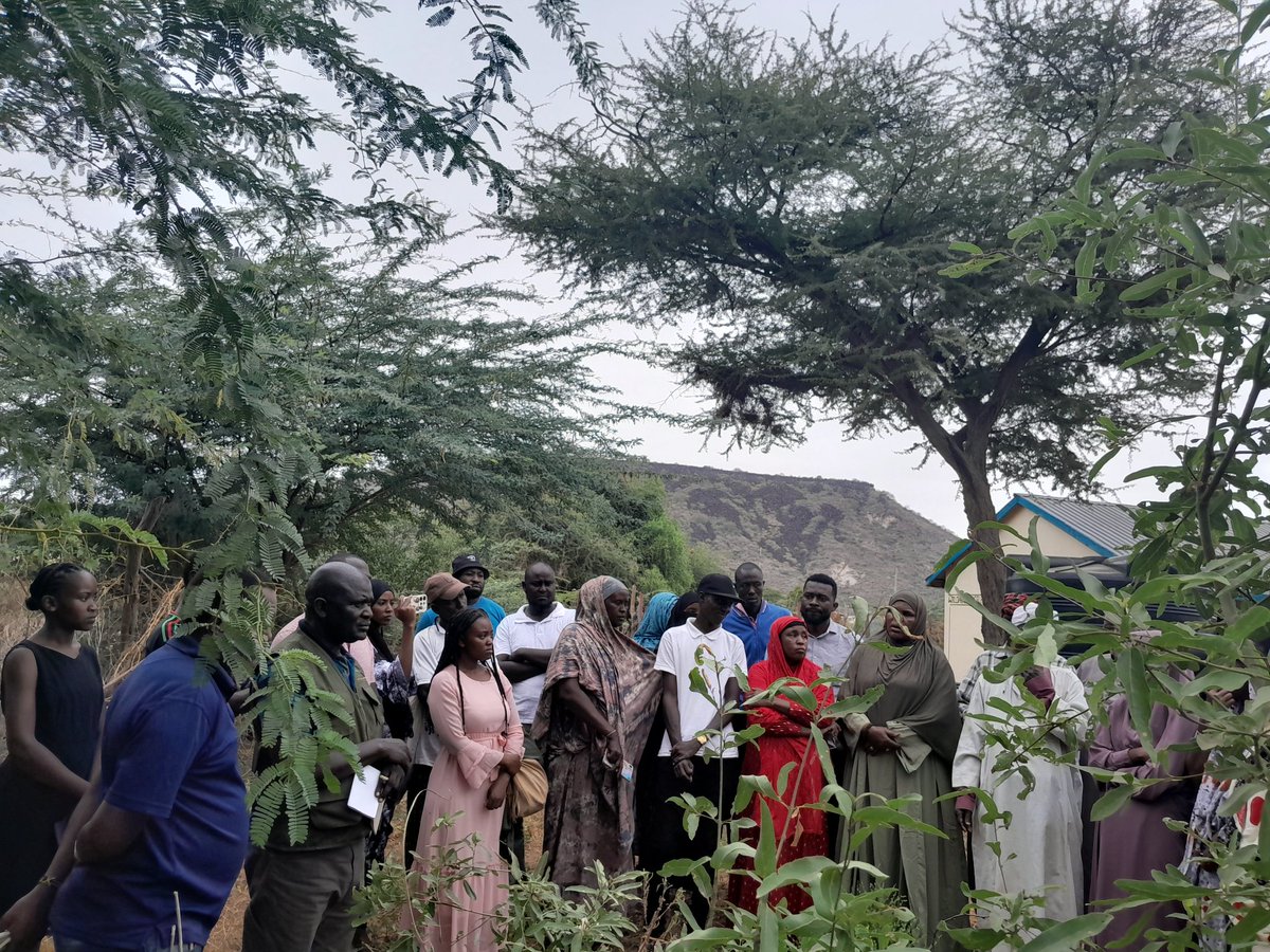 MoveNorthern Kenya tweet media