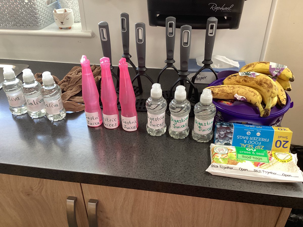 Our favourite experiment in Year 4 Robins today…but what are we making?!