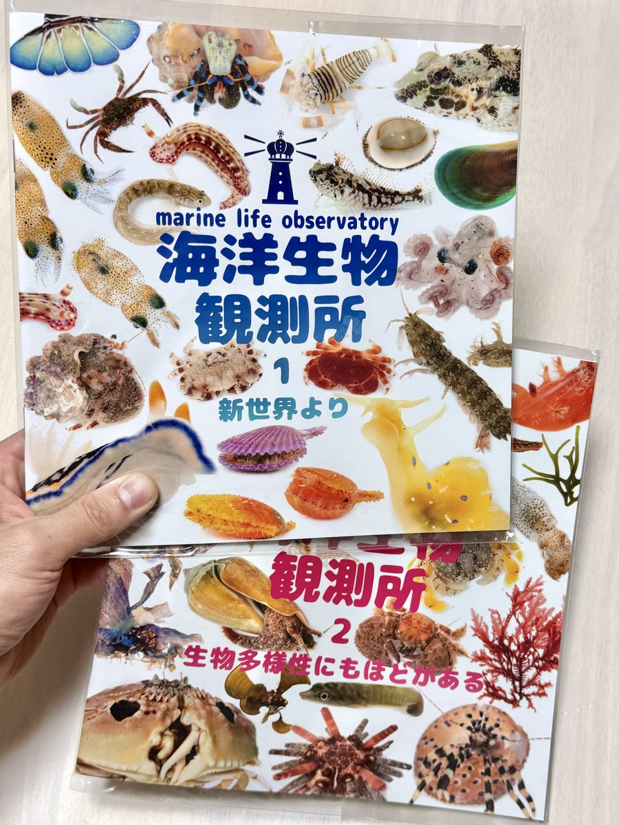 なにかと話題なので、海の生物の多様性を感じられる本はいかがでしょうか(ダイマ)