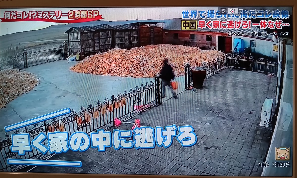 snakake_Subeter's tweet photo. @pixtajp @aflofoto @ViralHog @i_Stock @Newsflare @CosmosZR @CCTV #日テレ投稿ボックス #テレビ朝日映像撮影部 #めざまし8 #28lab 
本当にスペクターコミュニケーション映像け❓️😄❓️😄❓️😄❓️😄 https://t.co/5Lp1ximKeN
