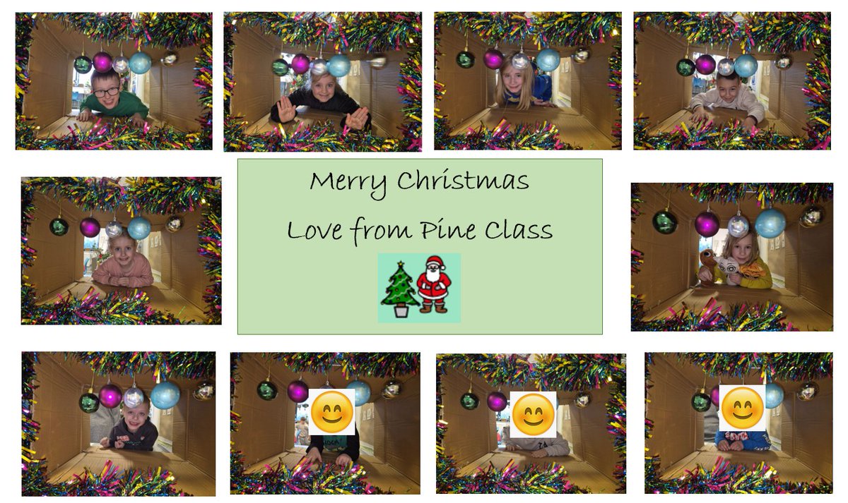 DeePointPine tweet media