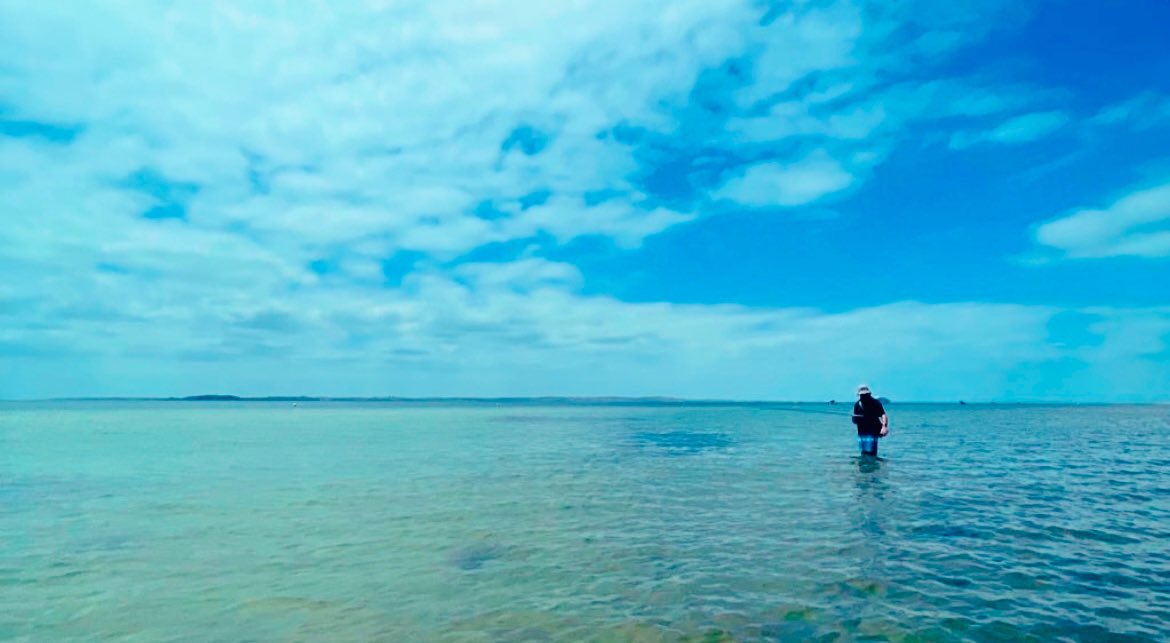 Plenty of room for a back cast #flyfishing