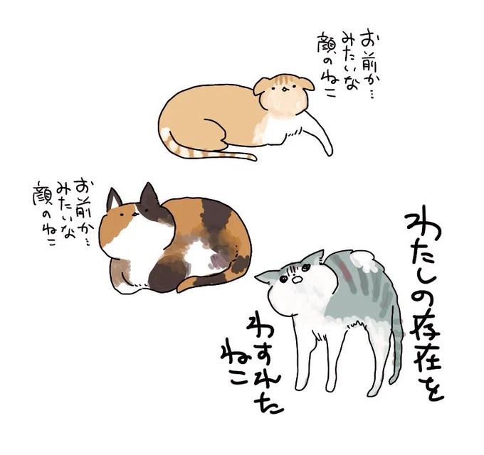 そしてさらに今実家には「まる」という右下のグレーの猫がいます 