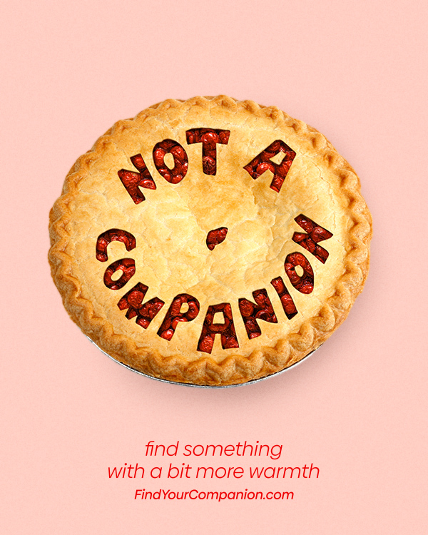 warnerbrosau's tweet photo. Find something with a bit more life. #CompanionMovie – only in cinemas January 30. #NotACompanion https://t.co/hdIvhkkKxT