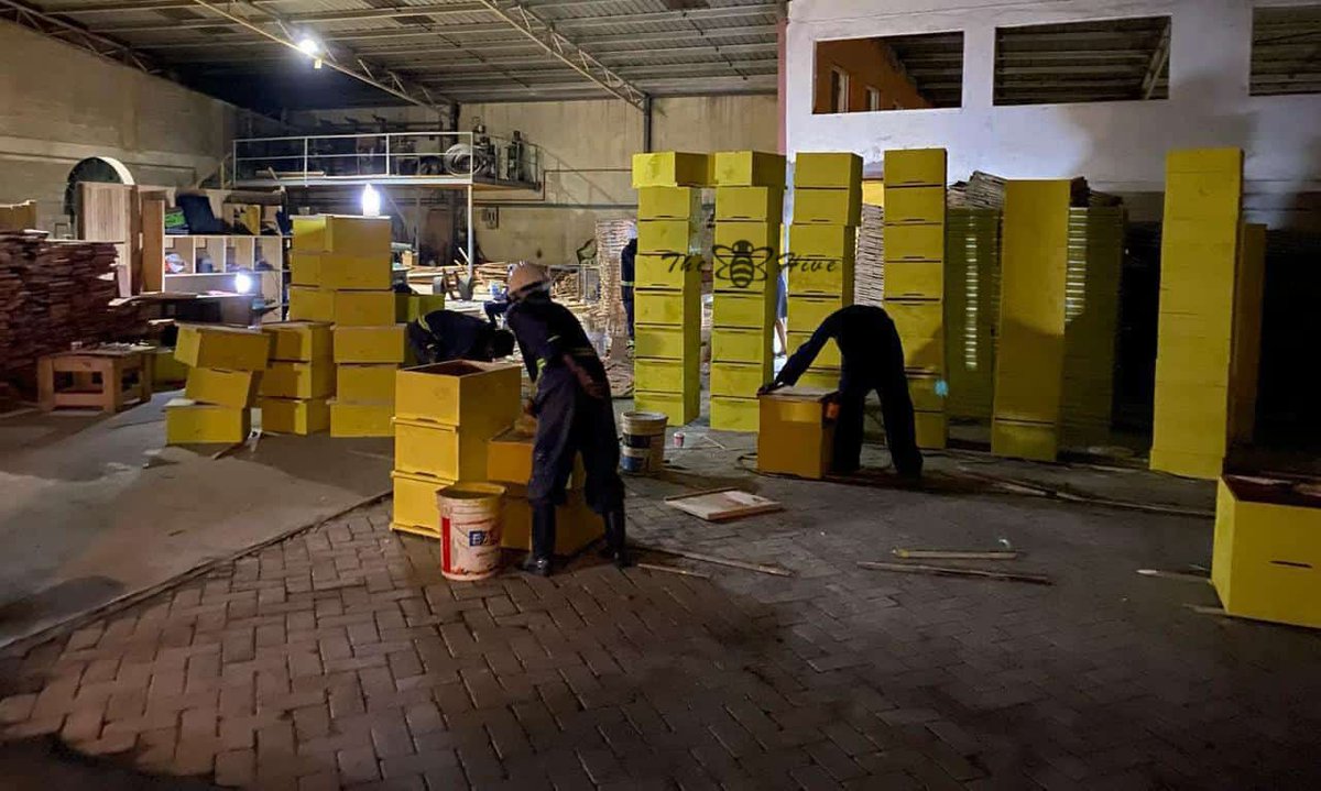 TheHiveLimited's tweet image. Begin your #beekeeping journey with our premium #Langstroth hives. @TheHive, we also offer a reliable #market for #honey from our #beekeepers. 

For more info on our #services, #beekeeping #equipment, honey &amp;amp; other #bee products
📞+256 778 805 123
✉️beekeepers@thehive.ug
#thehive