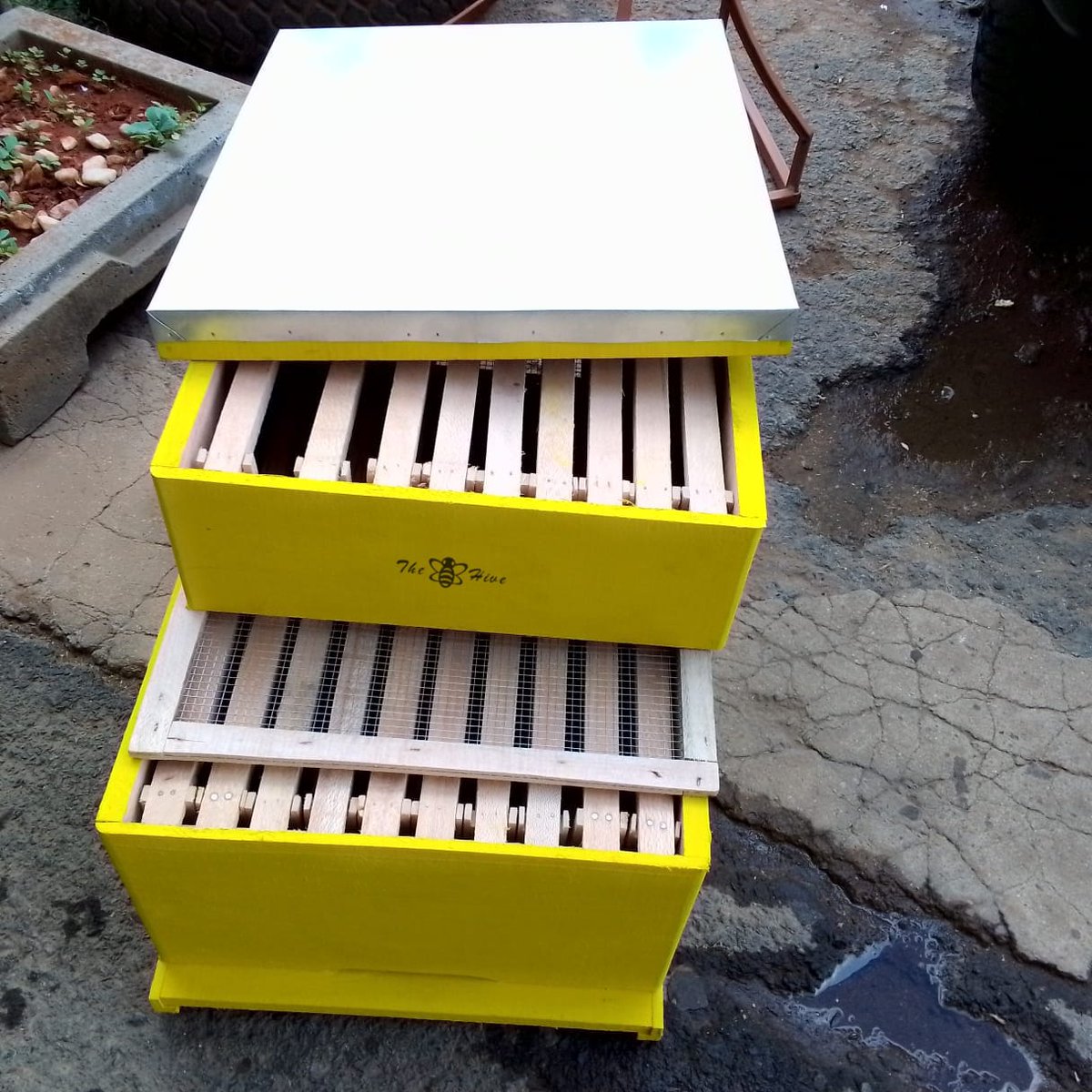 TheHiveLimited's tweet image. Begin your #beekeeping journey with our premium #Langstroth hives. @TheHive, we also offer a reliable #market for #honey from our #beekeepers. 

For more info on our #services, #beekeeping #equipment, honey &amp;amp; other #bee products
📞+256 778 805 123
✉️beekeepers@thehive.ug
#thehive