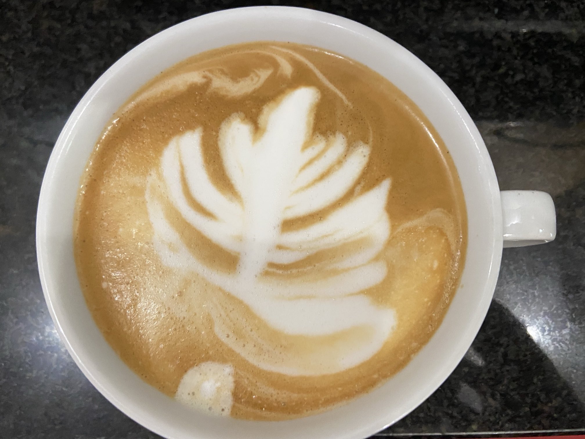 今日のカプチーノ - অনুসন্ধান / X