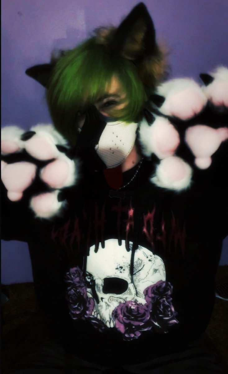 puppy🐾🎧 tweet media