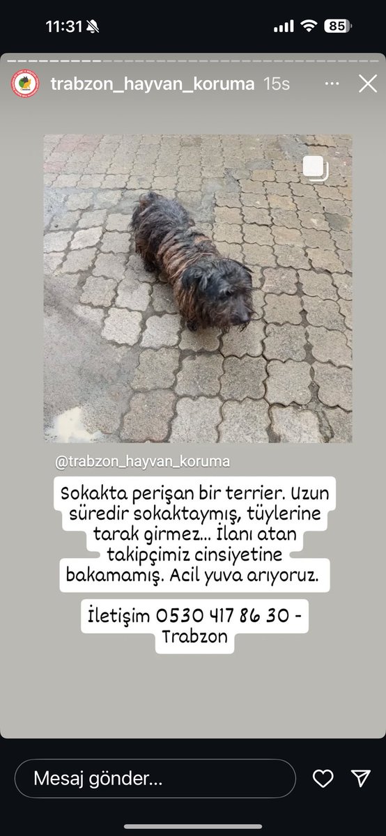 Diyecek sözüm kalmadı… Ne olur paylaşalım