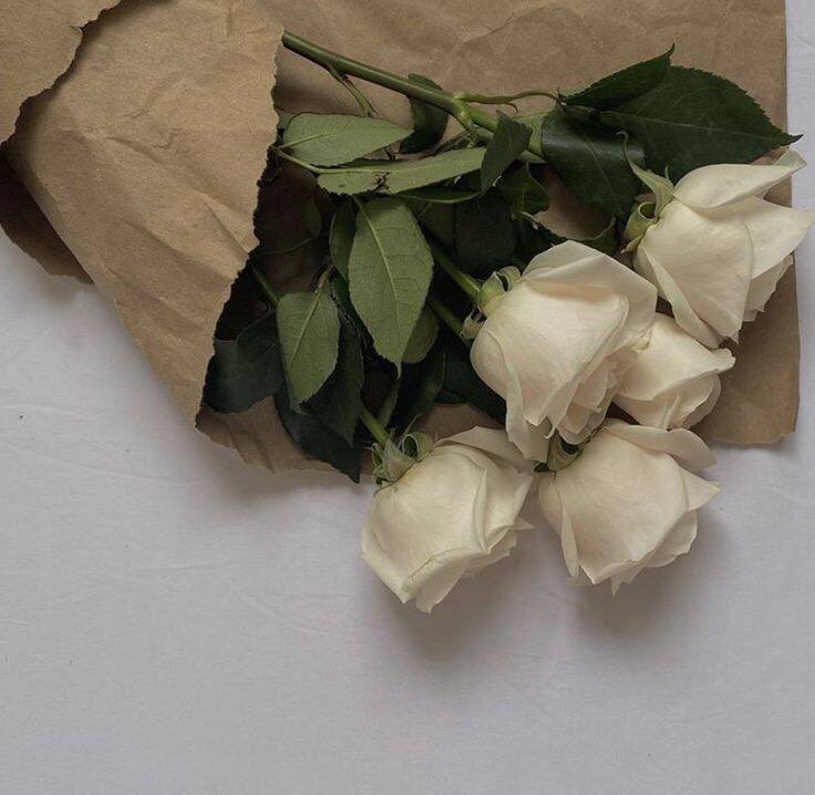 x_d3d's tweet photo. "و الذي أنبتنا نباتا حسنا،قادر على أن يجعل أقدارنا تزهر". https://t.co/D6CLsQVG6V