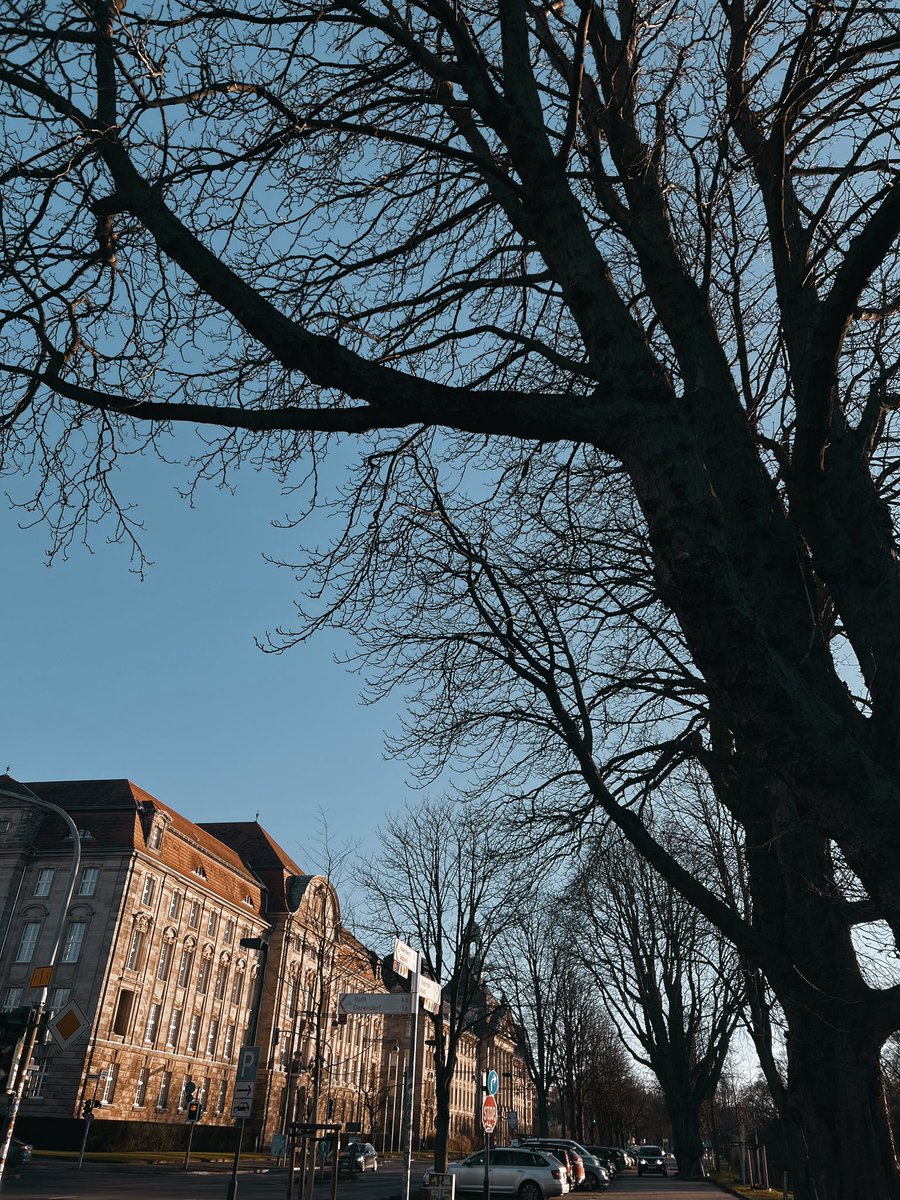 iJELLYace's tweet photo. Düsseldorf https://t.co/Uy4z9hyzg2