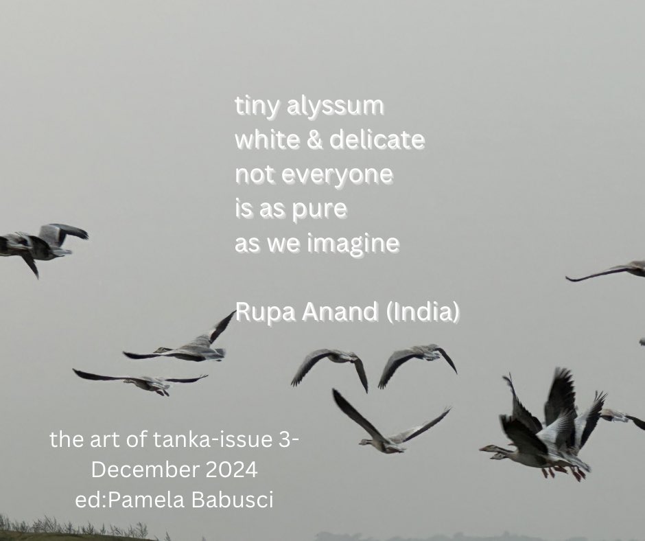 Rupa Anand (@rupahappiness) on Twitter photo 