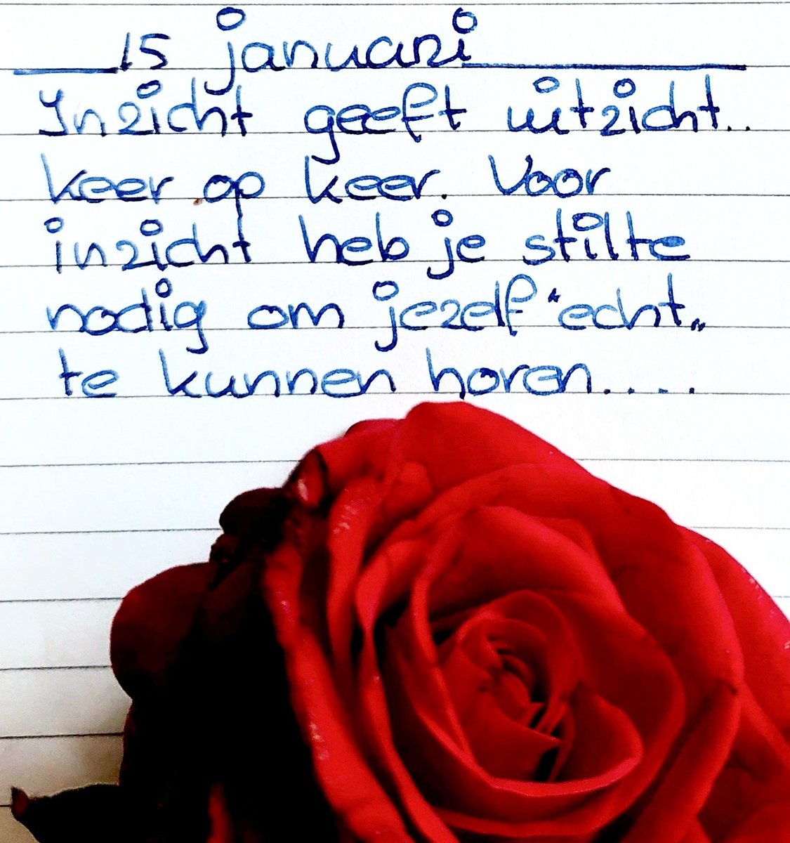 HellenKabel's tweet image. Goedemorgen ☕️🌷