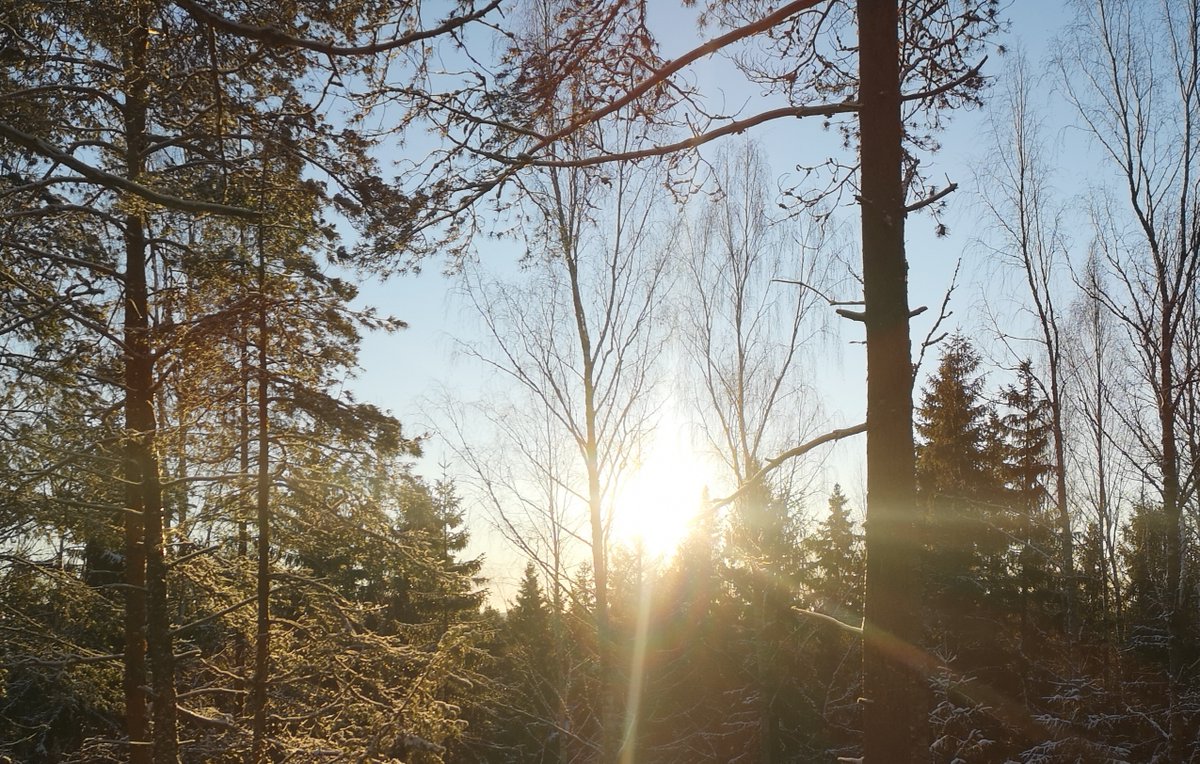 Emil Aaltosen Säätiö (@easaatio) on Twitter photo Emil Aaltosen Säätiön tieteelliseen tutkimustyöhön myöntämien apurahojen haku alkoi! Apurahat ovat haettavissa 15.2.2025 asti. Tarkemmat tiedot apurahoista, sähköinen hakemuslomake ja hakuohjeet sekä lausuntojärjestelmä löytyvät sivulta emilaaltonen.fi > Hae apurahaa. Emil Aaltosen Säätiön tieteelliseen tutkimustyöhön myöntämien apurahojen haku alkoi! Apurahat ovat haettavissa 15.2.2025 asti. Tarkemmat tiedot apurahoista, sähköinen hakemuslomake ja hakuohjeet sekä lausuntojärjestelmä löytyvät sivulta emilaaltonen.fi > Hae apurahaa.