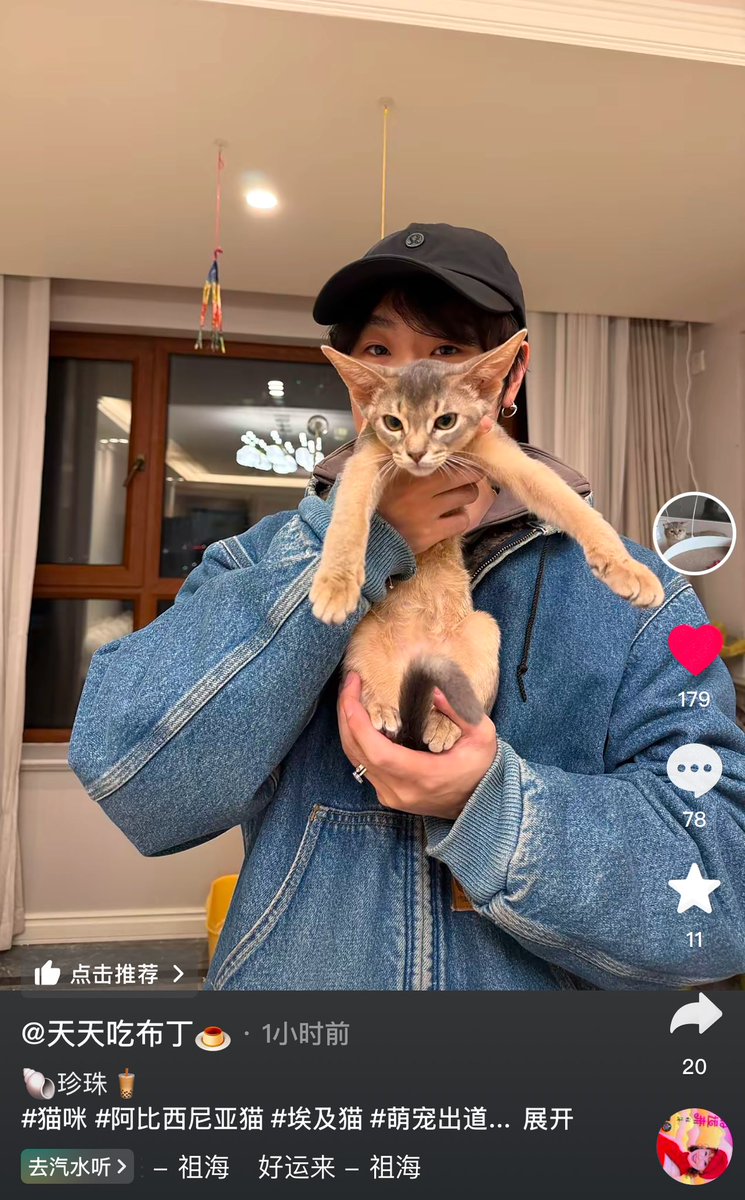 lovejinboyang's tweet photo. #金博洋 
#boyangjin
#ボーヤン
#ボーヤンジン

[150125]

“🐚Pearl🧋

#kitten #Abyssiniancat #EgyptianMau “

cr.🔗 https://t.co/LaQiwV6pBf J@I.Vl kcA:/ 07/15 https://t.co/CvYs1OTC8O