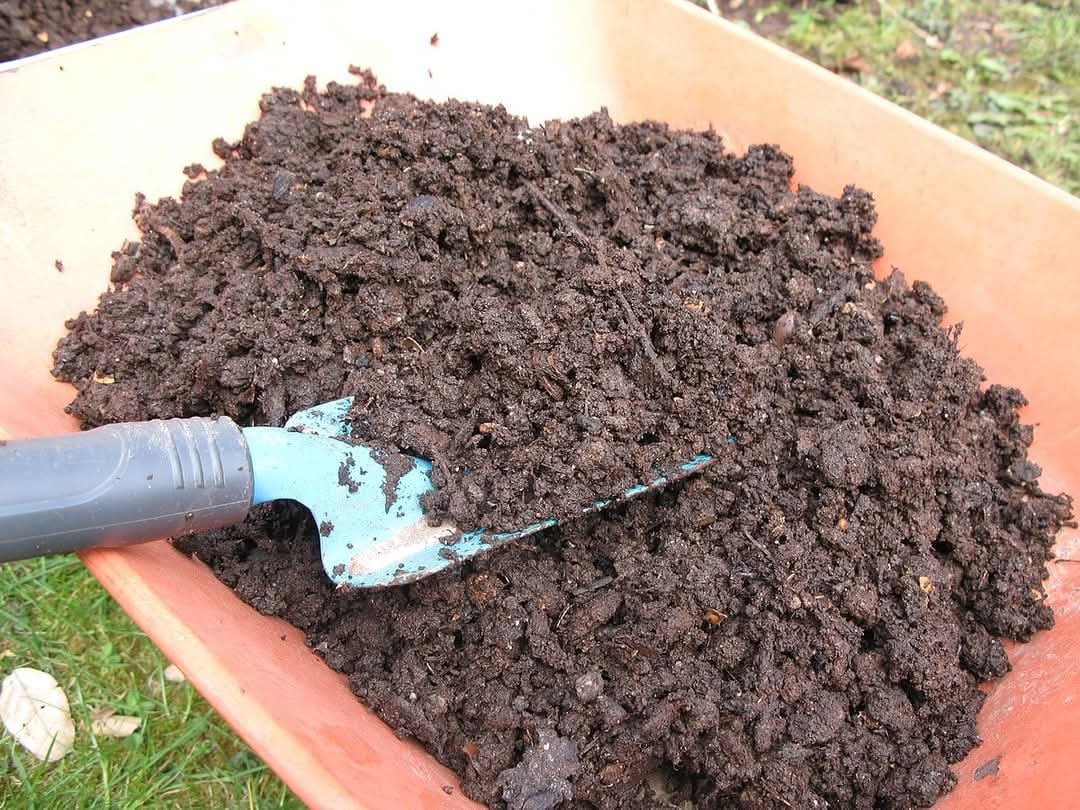 Vermi compost, created through the decomposition of organic materials by worms, is a nutrient-rich soil enhancer. 

It boosts soil health and fertility, turning food waste into a valuable resource for sustainable farming.

#W_i_Rwanda_Farmer 🇷🇼