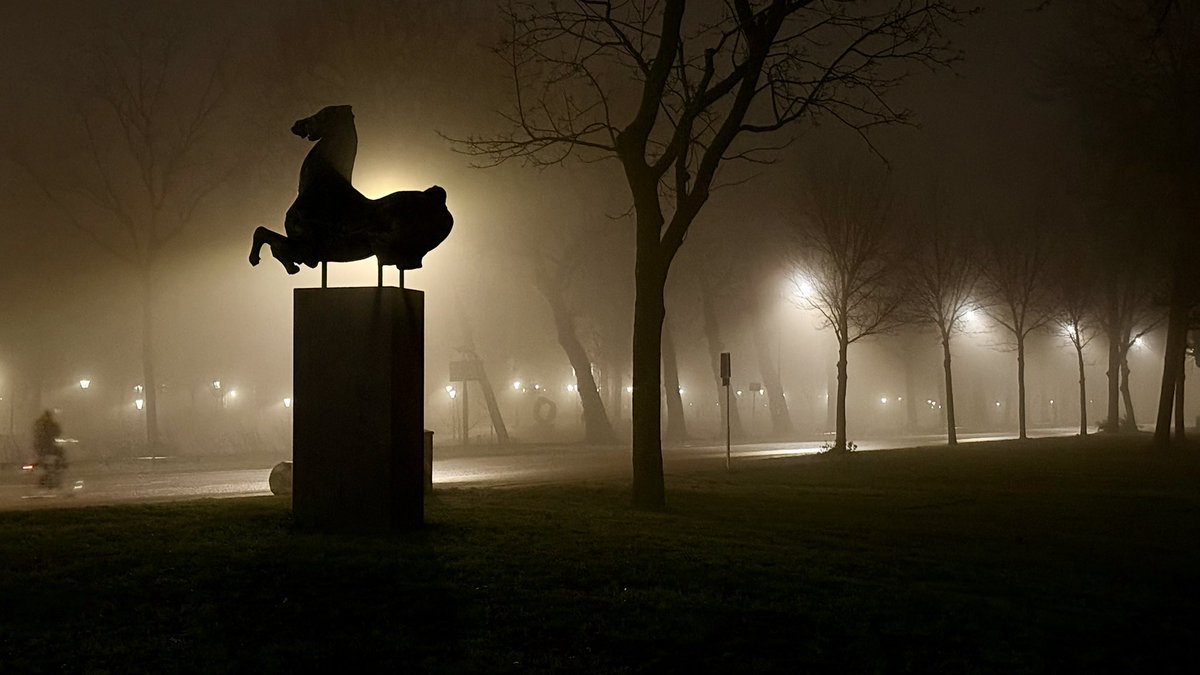 AlecBreunesse's tweet photo. DAGBEELD 15 januari - speels.
#Utrecht #Moreelsepark #JuliusSolway https://t.co/ggjIajVFV8