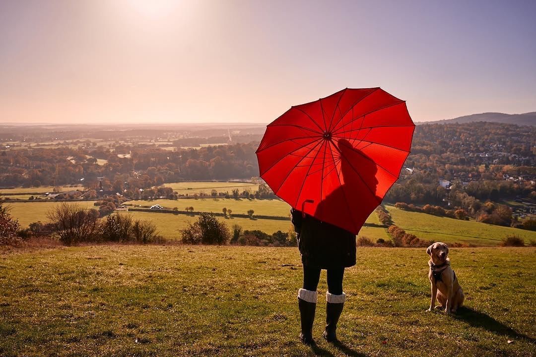 We’re kicking off 2025 with Hello Dorking’s Fresh Start February – a month-long celebration of all the amazing ways Dorking’s businesses can help you refresh, reset, and embrace the year ahead.
Head to our website to find out more: buff.ly/2XW6bLr
📸: The White Horse
