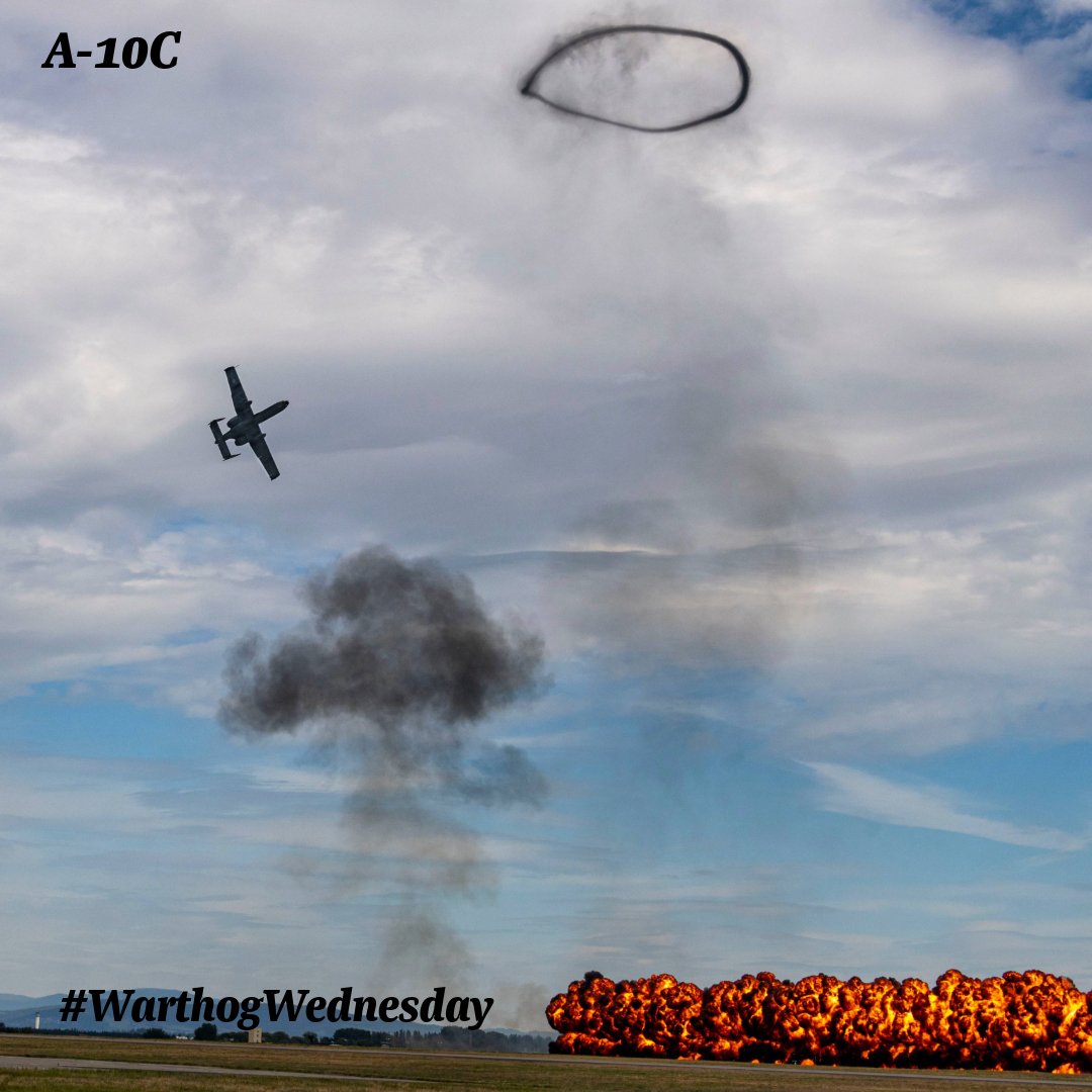 oo_alcoffical's tweet image. It&apos;s Warthog Wednesday! Bbbbrrrrrtttt.....

#WarthogWednesday #A10

📸: SrA Nicholas Rupiper