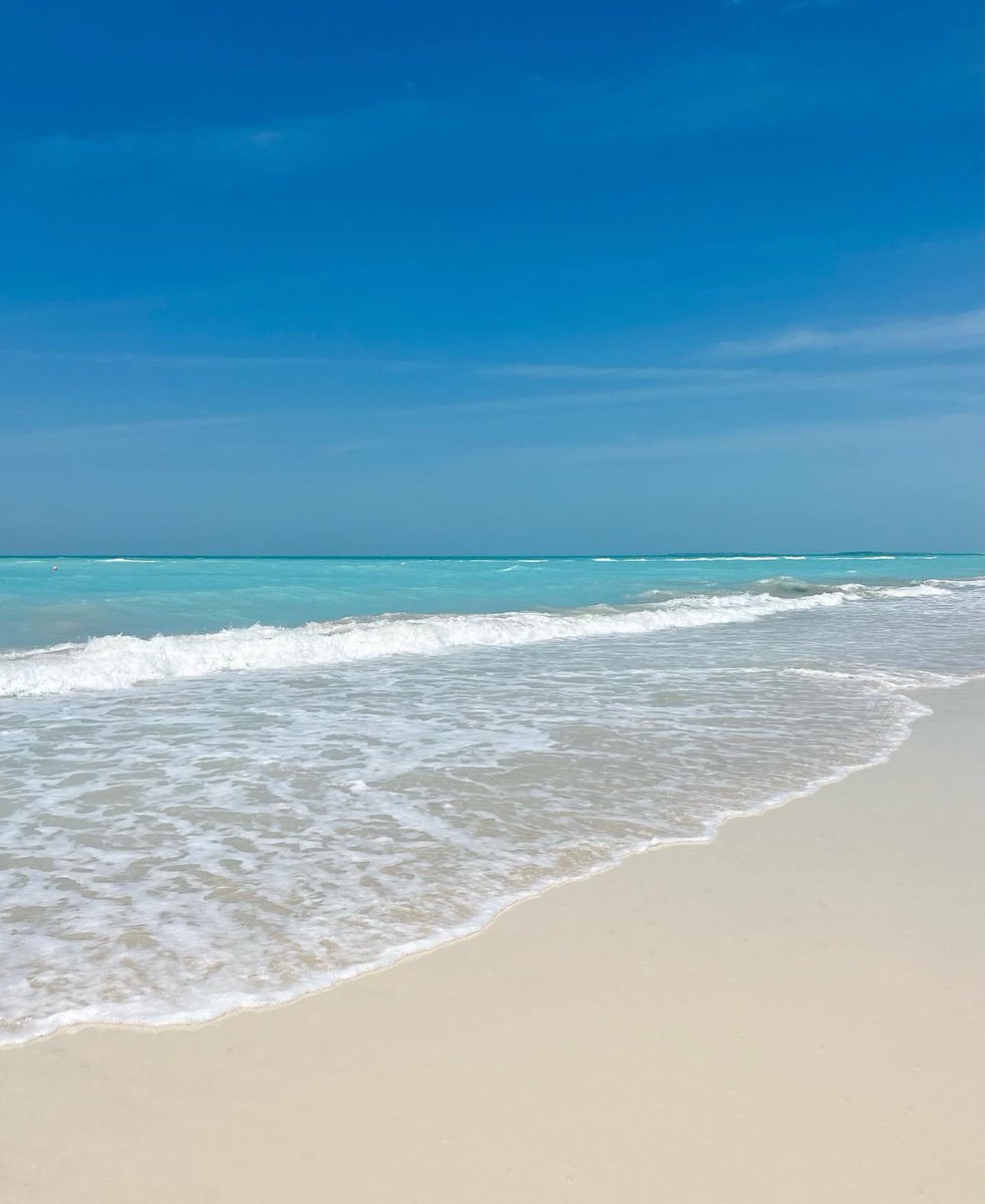 MIREYITA tweet media