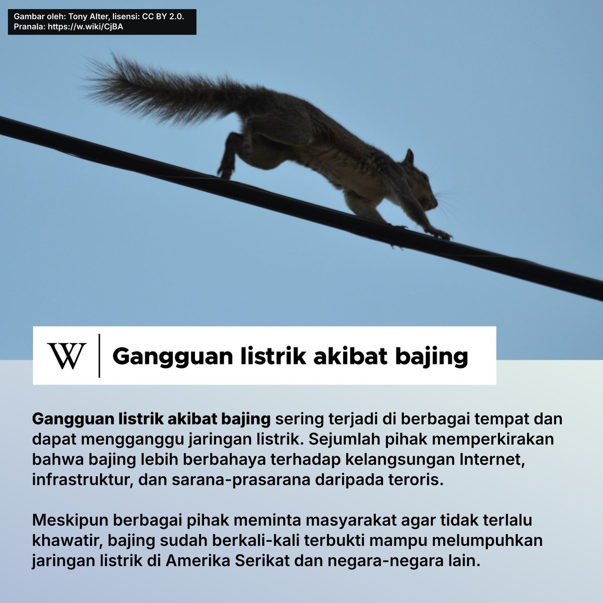 idwiki's tweet photo. 🐿 https://t.co/C9GOLkgYwA