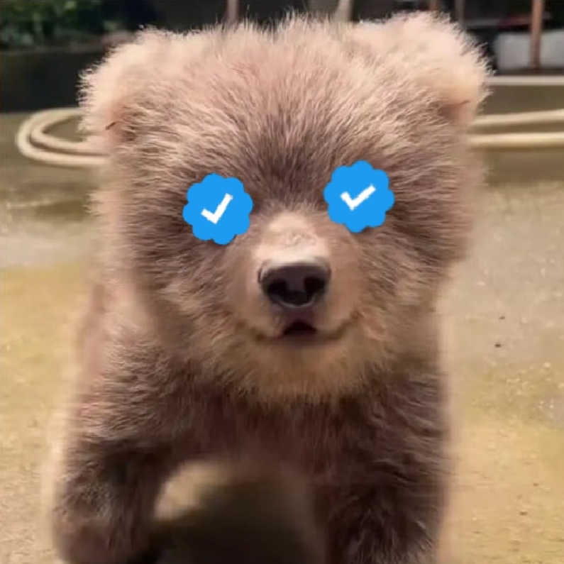 Guess who's verified 🔹🔷💙🔵💙🔷🔹