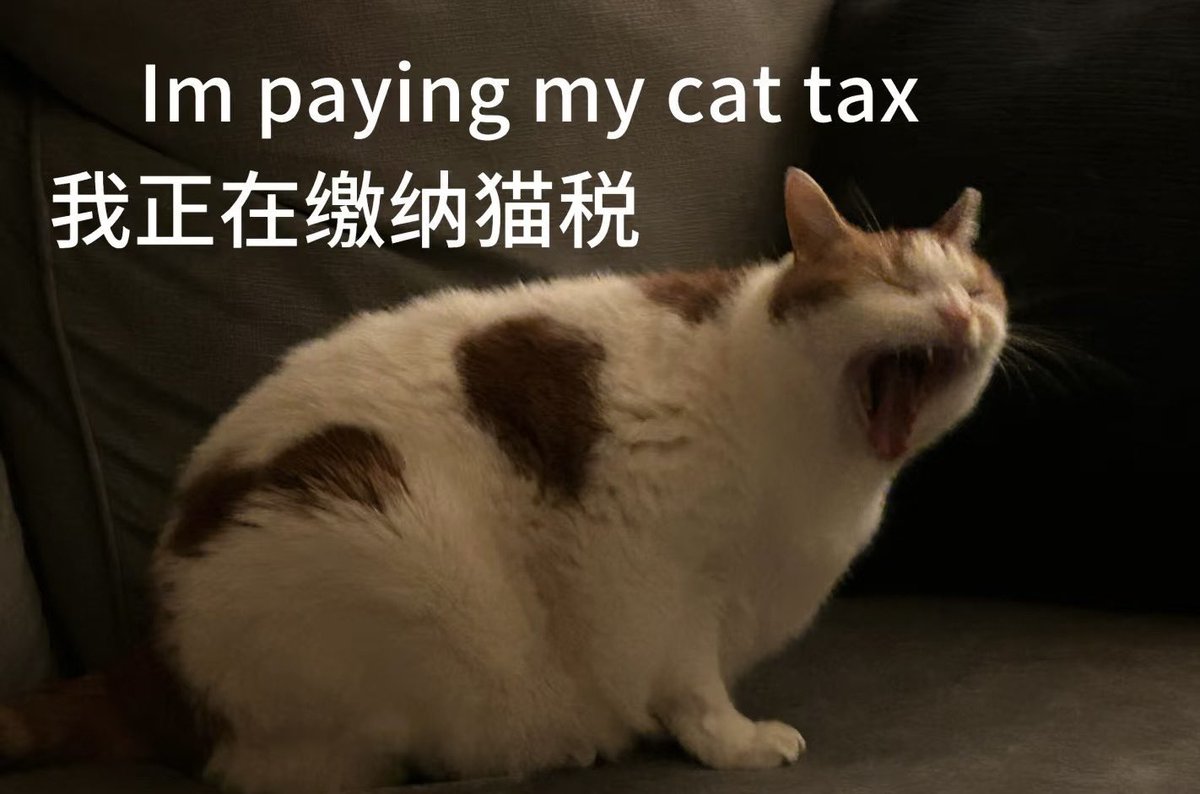 CryptoCat|猫姐🐈 tweet media