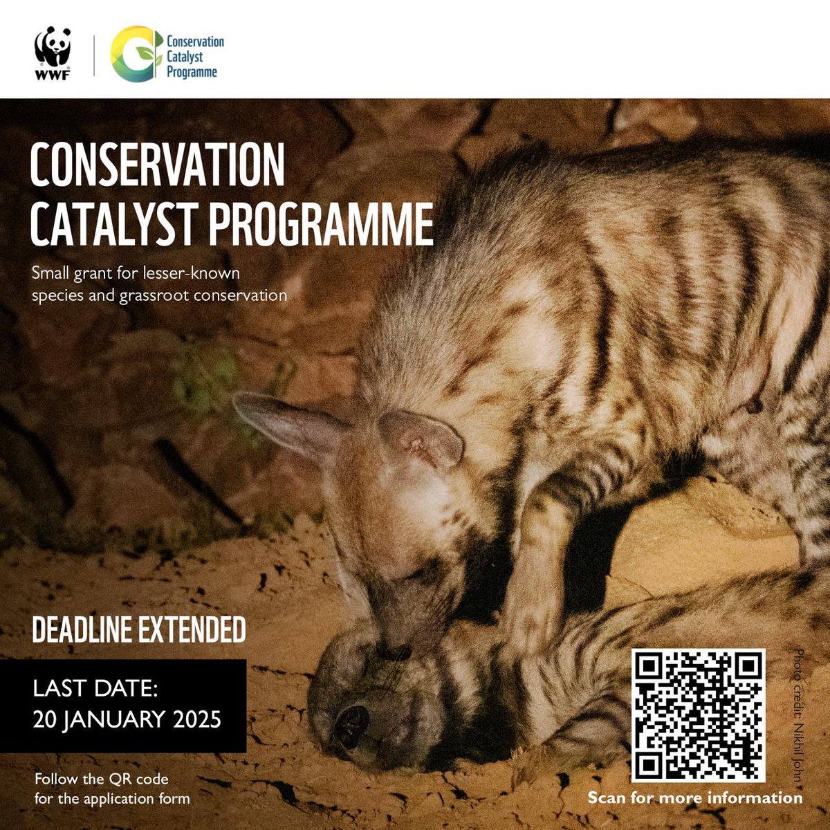 Due to overwhelming requests we are extending our grant deadline. The CCP is a grant for work on lesser-known species, primarily for grassroot individuals or organisations.

Apply by 20 Jan, 2025! Details in the QR code.