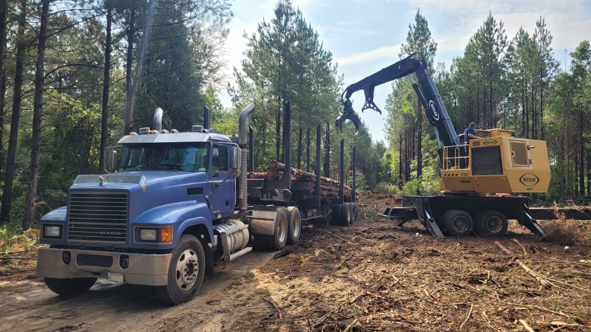 JournalForestE's tweet photo. A recent work reviewed literature to discover ownership cost components for log trucks in the US South and compare these costs to general freight trucks. 9 main cost categories and several differences between log trucks and general trucking were found. https://t.co/NuMew3K5a6 https://t.co/aheMN3T7Wg