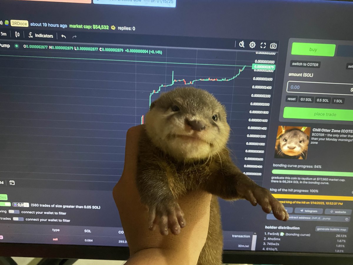 COTER_sol's tweet photo. $COTER is gearing up for Raydium! https://t.co/wF09ceEQgc