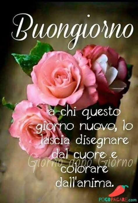 Marianna tweet media