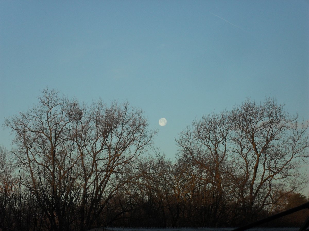 ✩⋆｡˚ ire tweet media