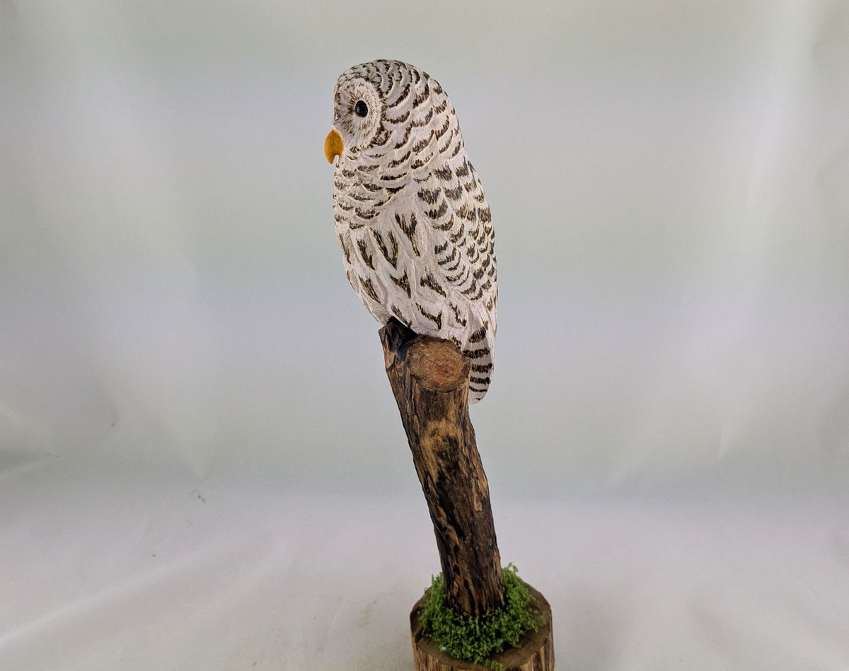 StPirovski's tweet photo. Barred owl wood carving
https://t.co/3Ad1tsJPnu https://t.co/mzSbX6USKk
