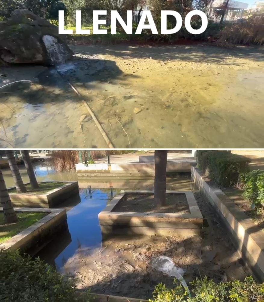 SOSterritorios's tweet photo. Todo lo que hace #ParquesYJardines del @Ayto_Sevilla es igual de desastroso, repugnante y sucio‼️
1º Vacían el #Estanque de #Monet de los #JardinesDelGuadalquivir.
2º Vierten el agua sucia y contaminada al #RíoGuadalquivir.
3º Lo llenan sin limpiarlo y toda la suciedad sigue ahí. https://t.co/uuRb0E43eW