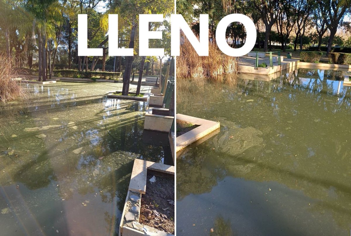 Red Territorios Sostenibles #RedEcoTerritorios (@sosterritorios) on Twitter photo Todo lo que hace #ParquesYJardines del <a href="/Ayto_Sevilla/">Ayuntamiento de Sevilla</a> es igual de desastroso, repugnante y sucio‼️
1º Vacían el #Estanque de #Monet de los #JardinesDelGuadalquivir.
2º Vierten el agua sucia y contaminada al #RíoGuadalquivir.
3º Lo llenan sin limpiarlo y toda la suciedad sigue ahí. Todo lo que hace #ParquesYJardines del <a href="/Ayto_Sevilla/">Ayuntamiento de Sevilla</a> es igual de desastroso, repugnante y sucio‼️
1º Vacían el #Estanque de #Monet de los #JardinesDelGuadalquivir.
2º Vierten el agua sucia y contaminada al #RíoGuadalquivir.
3º Lo llenan sin limpiarlo y toda la suciedad sigue ahí.