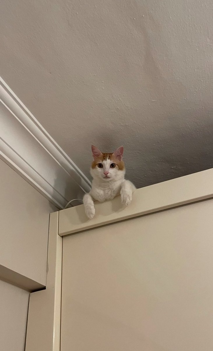 Uyannnn çabunk uyannnnn