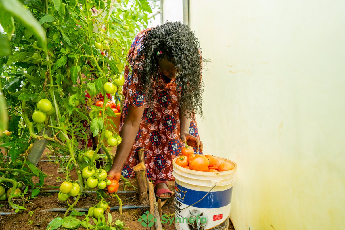 The true transformation in agriculture happens when farmers reap sustainable returns on their efforts. 

It’s about creating systems that deliver real value.

When farmers thrive, communities grow stronger, and the sector evolves into a hub of empowerment and opportunity.