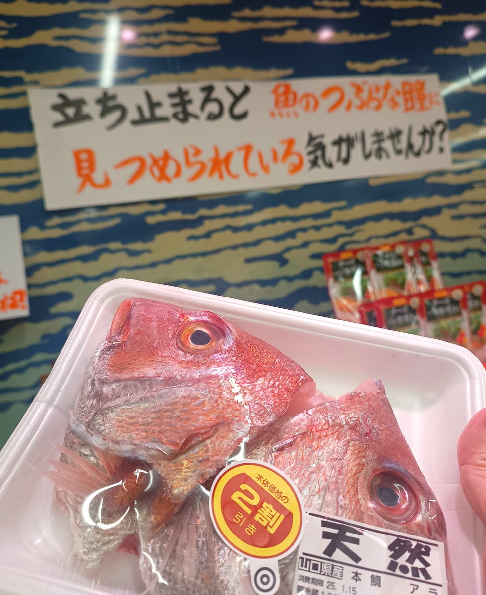 yuzu (@pingu_yuzu) / Posts / X