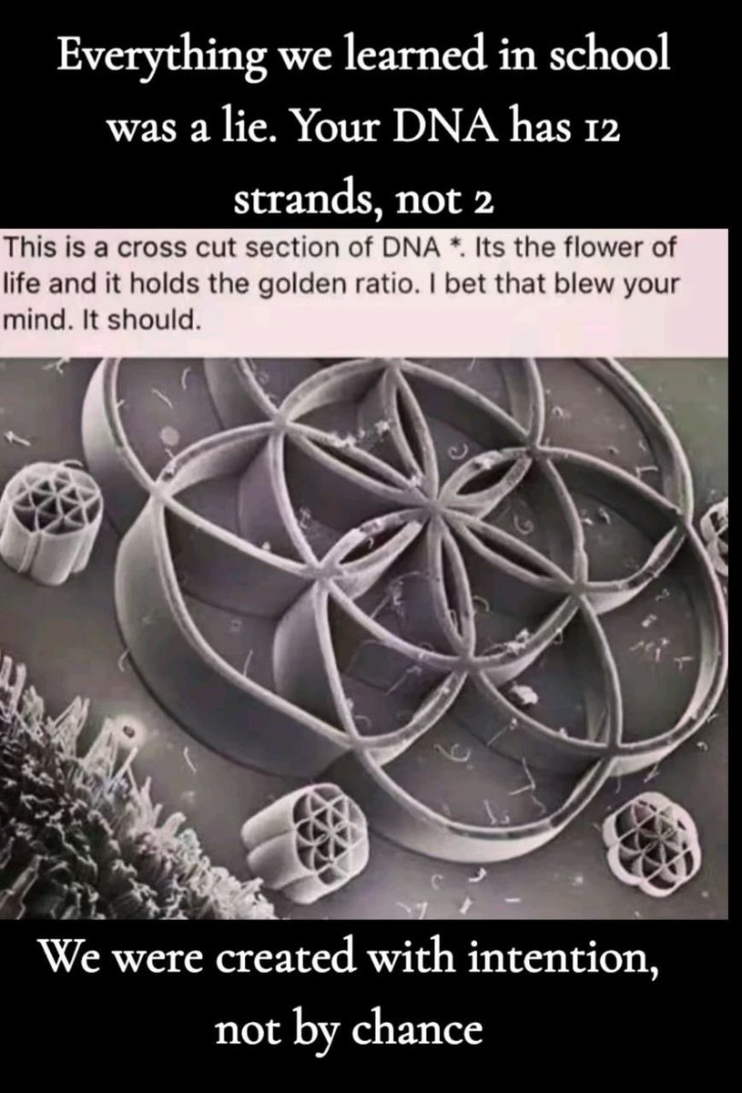 Nancy023922191's tweet image. Everything we learnt at school was a lie.