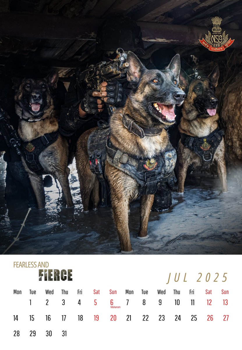 National Security Guard tweet media