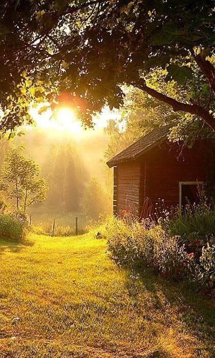 صباحُ الخير ⛅️
لروحٍ مهما توَانت همّتها، تصالحت مع ذاتها مطلع كل يومٍ جديد و أشرقت🌻.
اذكاركم رزقكم الله أمانيكم 🤍💫
 
#صباح_الأشياء_المُشرقة