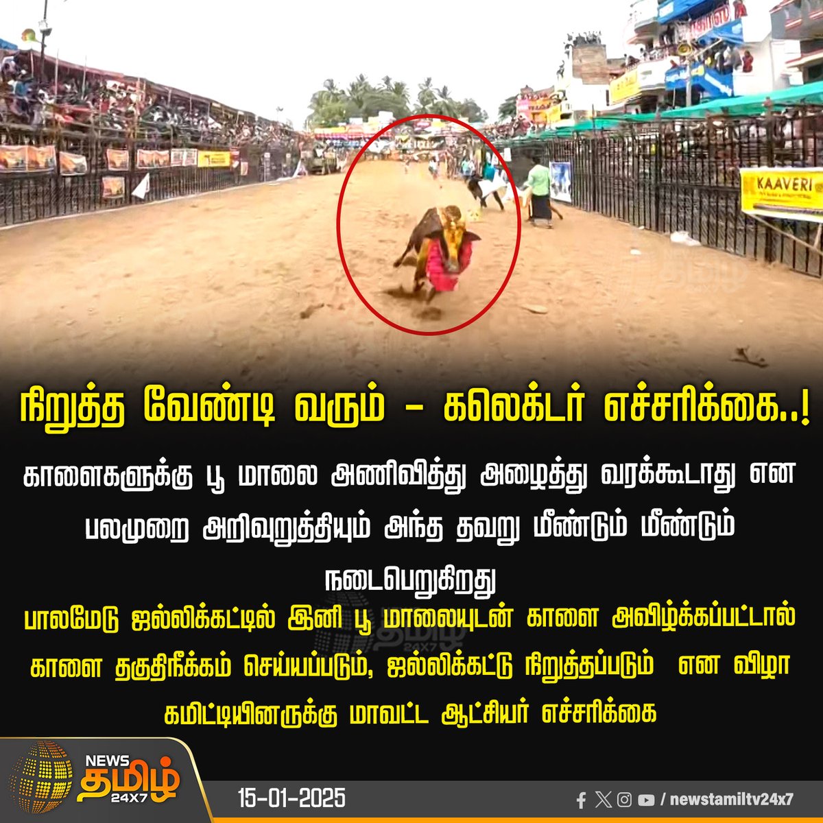 NewsTamilTV24x7's tweet photo. #JUSTIN | நிறுத்த வேண்டி வரும் - கலெக்டர் எச்சரிக்கை..!
#Madurai #Jallikatu #Jallikattu2025 #JallikatuLive #Palamedu #PalameduJallikatu #PalameduJallikatu2025 #PalameduJallikatuLive #MaduraiJallikatu #NewsTamil #NewsTamil24x7 #CollectorWarning https://t.co/1aizZF0Z4D