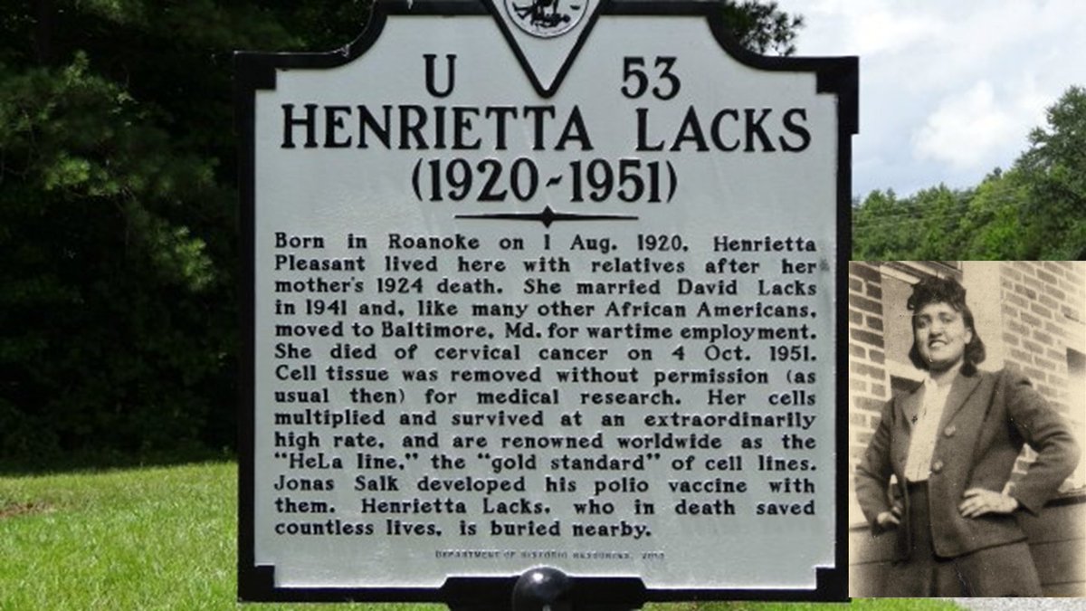 HeLa cells come from Henrietta Lacks. Her name should be remembered. Lacks was a Black Woman, and none of the companies that profited from her cells gave money to her family despite revealing her name publicly, giving medical records to the media and publishing her genome online.