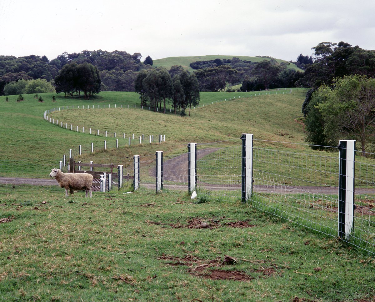 PistoiaMusei's tweet photo. Road to #BurenPistoia 

✈️ Auckland

Photo-souvenir : Daniel Buren, White and Green Fence, travail in situ évolutif et permanent, in The Farm: Gibbs Sculpture collection, Auckland, Nouvelle-Zélande, 1999-2001. 

Scopri di più: https://t.co/BdmhW86HXq https://t.co/NZKRv0eqCR