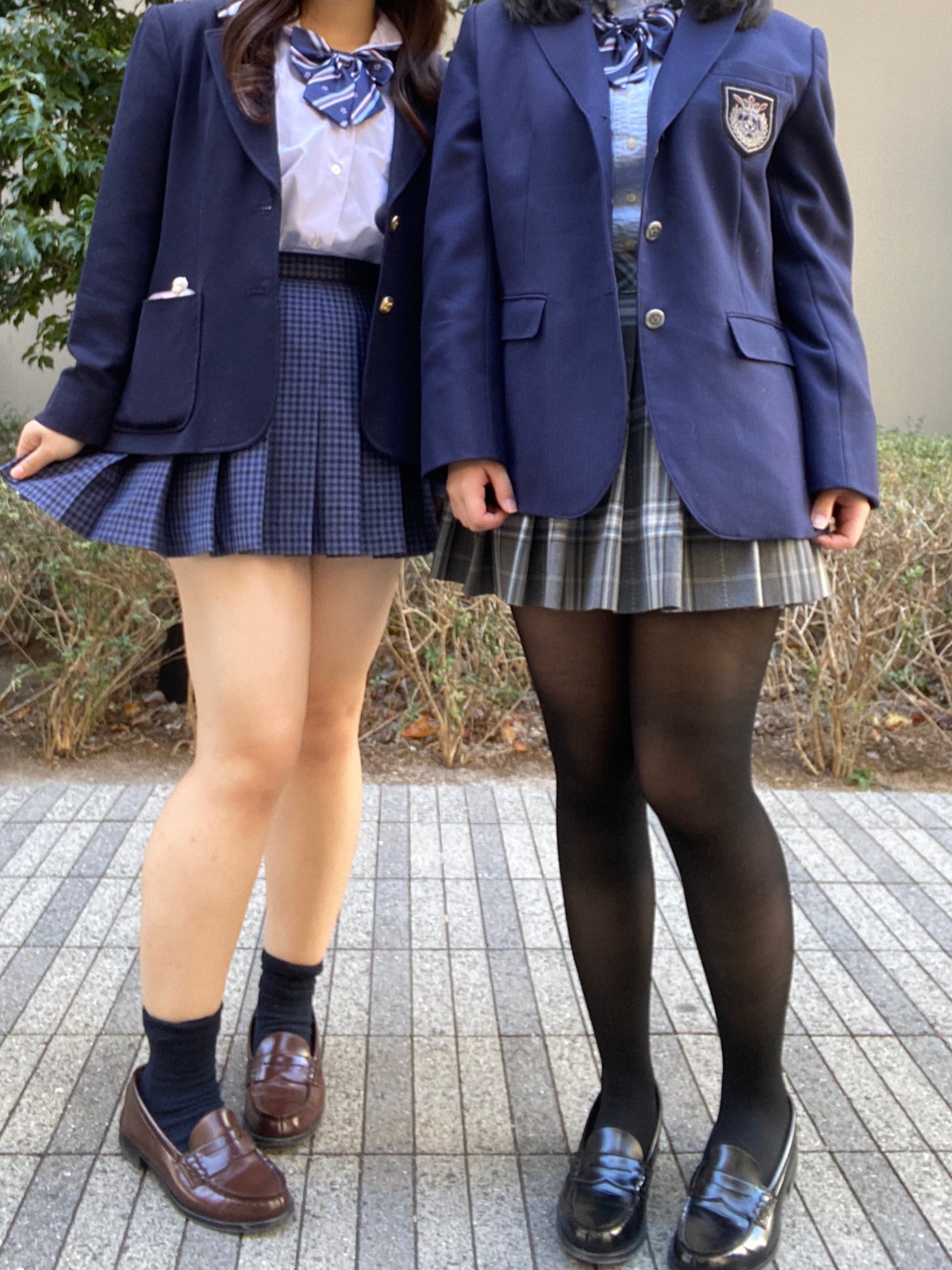 むっちりミニスカートgif 